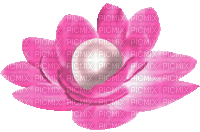 Animated.Flower.Pearl.Pink - By KittyKatLuv65 - Бесплатный анимированный гифка