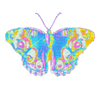 Schmetterling/Butterfly - Besplatni animirani GIF