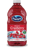 Cranberry Juice - darmowe png