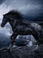 Horse - Ingyenes animált GIF