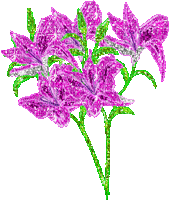 flores - Darmowy animowany GIF