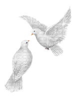 birds - Free PNG