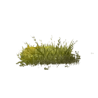 grass - бесплатно png