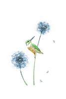 blue dandelions Bb2 - PNG gratuit