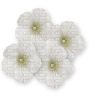 déco fleurs blanche - png ฟรี