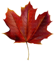 Kaz_Creations Autumn Fall Leaves Leafs - besplatni png