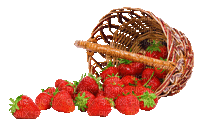 strawberry erdbeeren ladybug insect basket fruit summer ete sommer gif anime animated animation tube strawberries fraises panier coccinelle