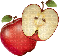 red apple Bb2 - zdarma png