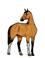 aze cheval marron Brown - Free animated GIF