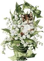 flores lirios de valle gato cesta dubravka4 - gratis png