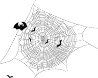 spider web - zdarma png