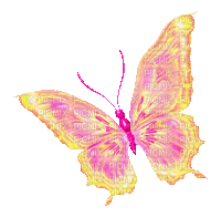 Butterfly.Pink.Yellow - By KittyKatLuv65 - Free animated GIF
