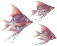 poisson - GIF animado gratis