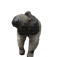 anteater sniffing - gratis png