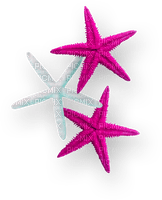 Starfish.Pink.White - PNG gratuit