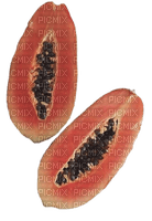 Papaye - png grátis