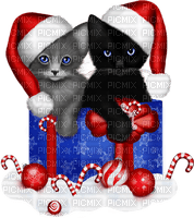 christmas cat - darmowe png