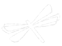 Dragonfly Modphx - GIF animado gratis
