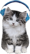 Kathleen Reynolds Cat Kitten - ücretsiz png