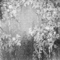 Y.A.M._Vintage background black-white - 免费动画 GIF