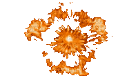 coe orange - Безплатен анимиран GIF