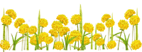 Kaz_Creations Deco Flowers Dandelion Flower - ingyenes png
