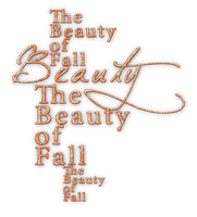 soave text autumn beauty fall  ​orange - δωρεάν png