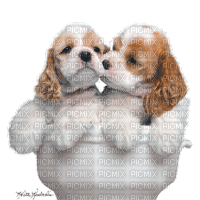 puppy in cup bp - Безплатен анимиран GIF