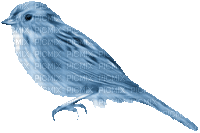 ani-fågel-blå - Бесплатный анимированный гифка