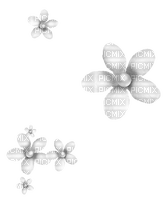 Pearl.Flowers.White - ingyenes png