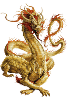 Y.A.M._Fantasy dragon - PNG gratuit