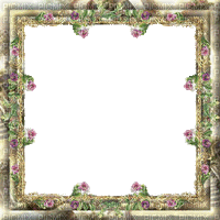 cadre fleurs - 免费动画 GIF