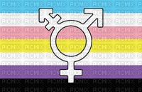 Transgender nonbinary Pride flag symbol lgbtqia - PNG gratuit