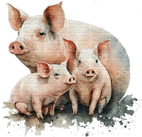 Farm Pigs - bezmaksas png