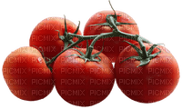 tomates - nemokama png