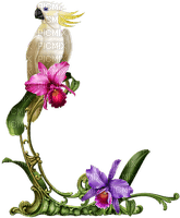 Parrot.Flowers.White.Purple.Pink.Green - Free PNG