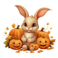loly33 lapin automne citrouille - Free PNG