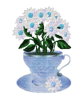 tasse fleurs - Nemokamas animacinis gif