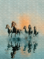 gif cavalos fundo - 無料のアニメーション GIF