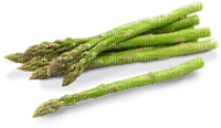 Asparagus - png ฟรี