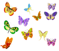 patymirabelle papillons - ingyenes png