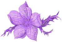 purple flower - Ingyenes animált GIF
