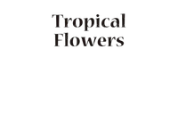 loly33 texte tropical flowers - ücretsiz png