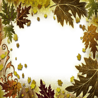 automne feuilles cadre autumn leaves frame - Free PNG