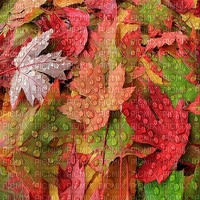 leaves background - gratis png