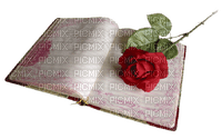 book and rose - Free PNG