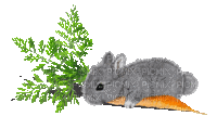 Bunny with Carrot - GIF animé gratuit