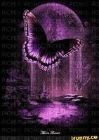 Butterfly - zadarmo png