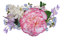 kukka, fleur, flower - nemokama png