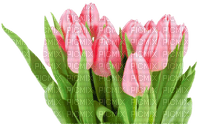 Kaz_Creations Deco Flowers Tulips Flower - бесплатно png